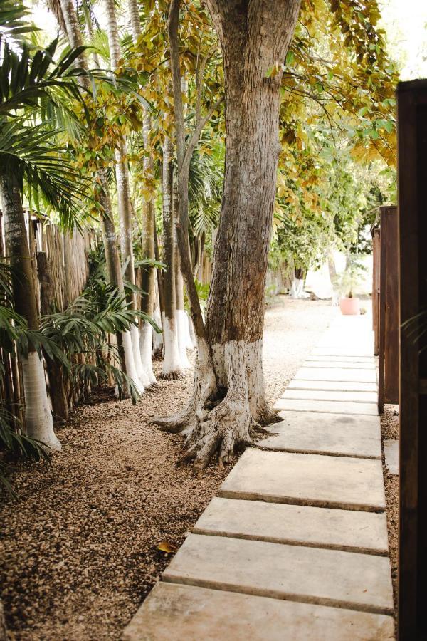 Hotel Selva Maya Bacalar Dış mekan fotoğraf